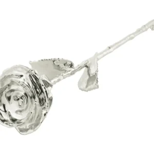 Silver Rose